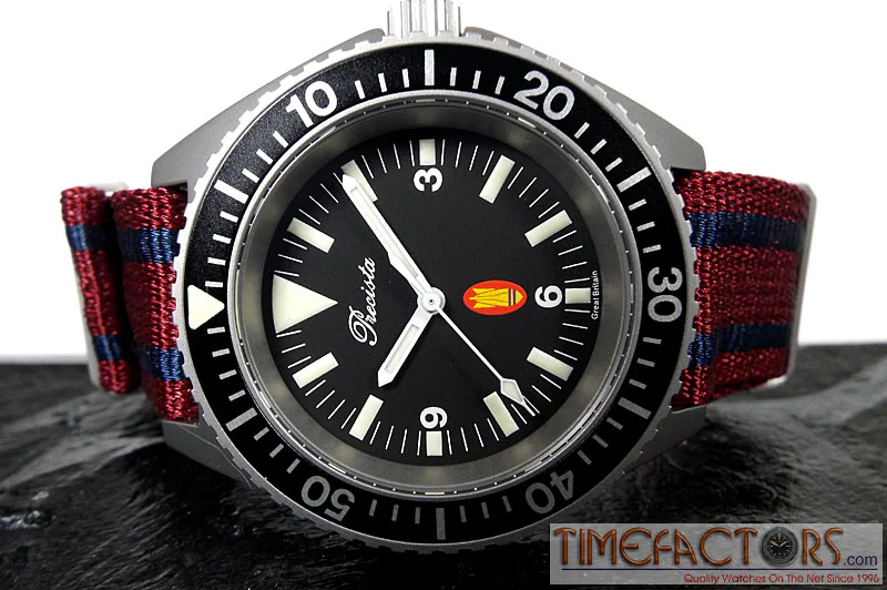 REGIMENTAL NATO STRAPS - Image 6