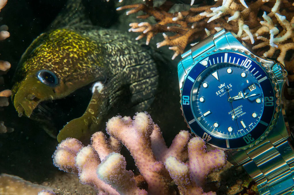SEWILLS PROFESSIONAL DIVER PRS-44 - Image 10