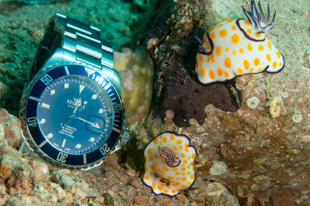 SEWILLS PROFESSIONAL DIVER PRS-44 - Image 9