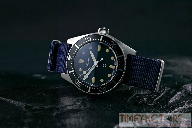 TIMEFACTORS NATO/G10 COYOTE BROWN & NAVY BLUE - Image 3